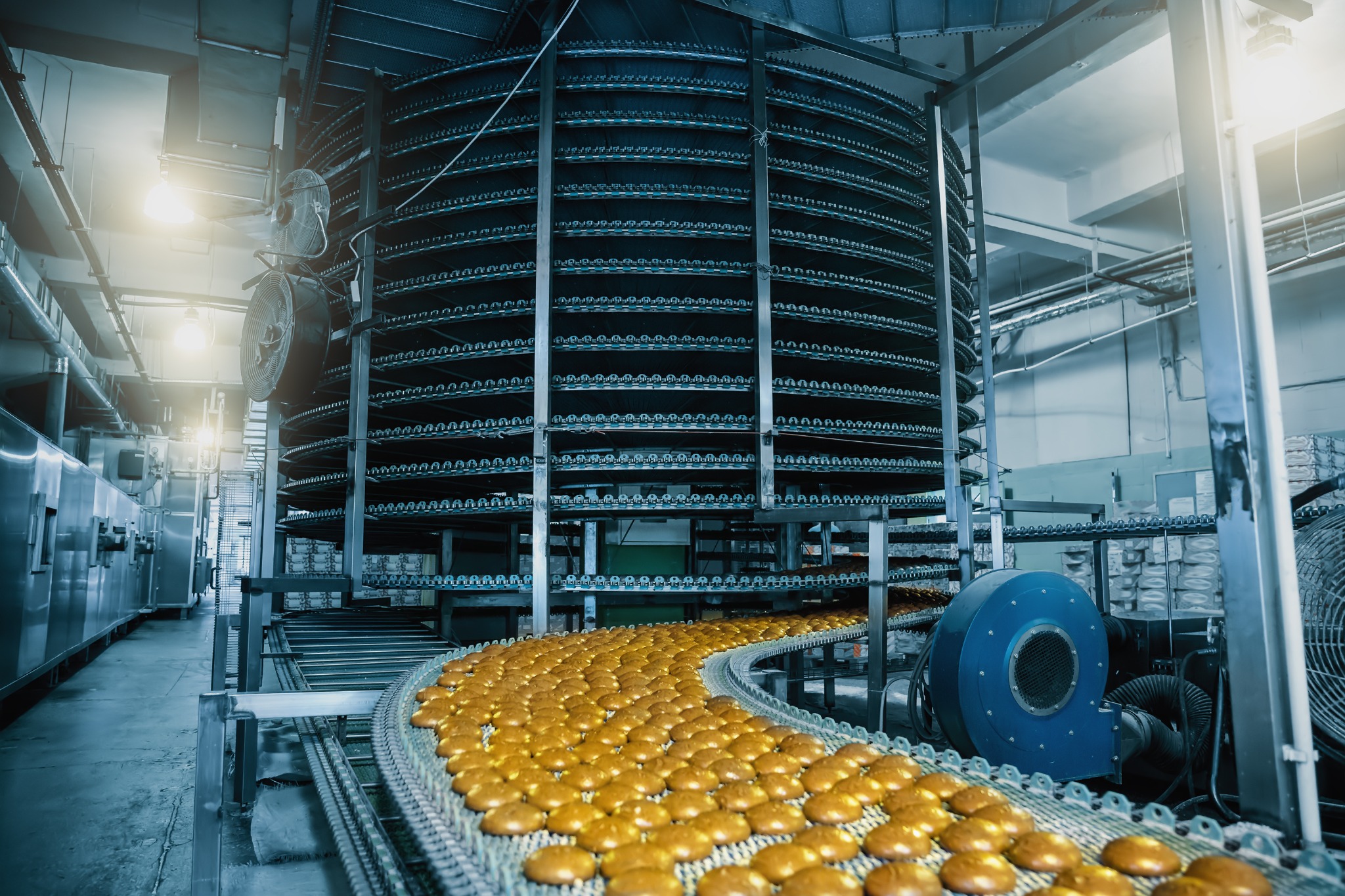 Food processing conveyor system